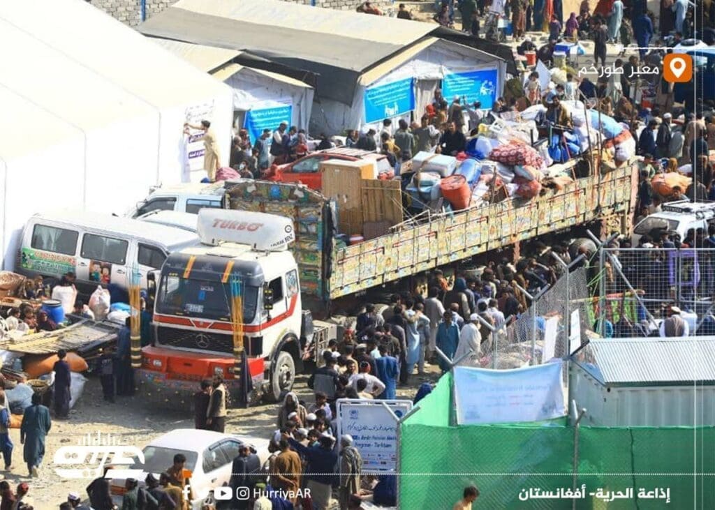 IMG 20250502 142017 206