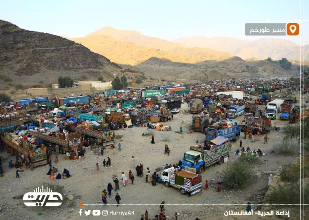 IMG 20250502 142017 381