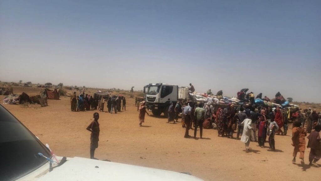 IMG 20250502 195105 135