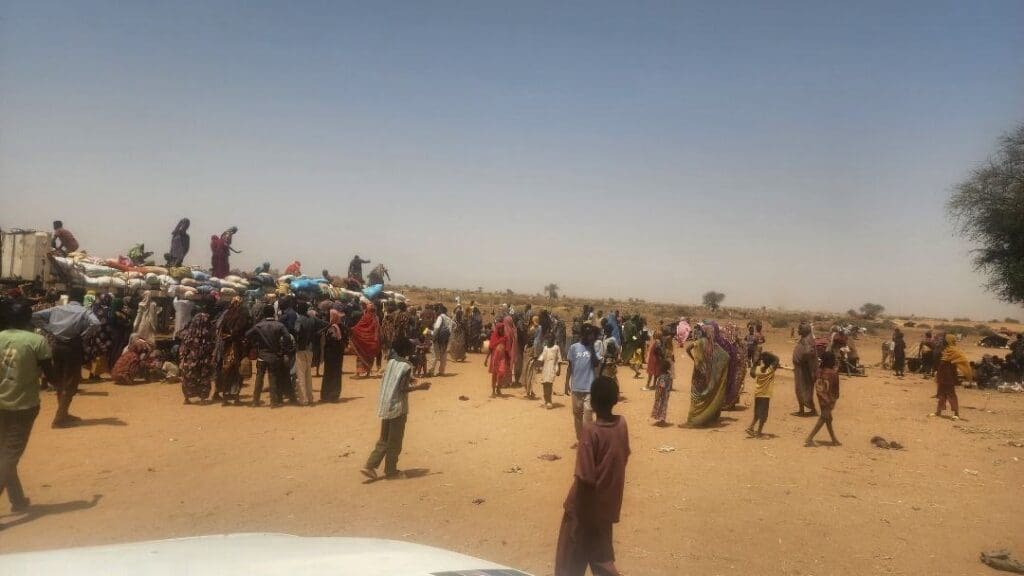 IMG 20250502 195105 286