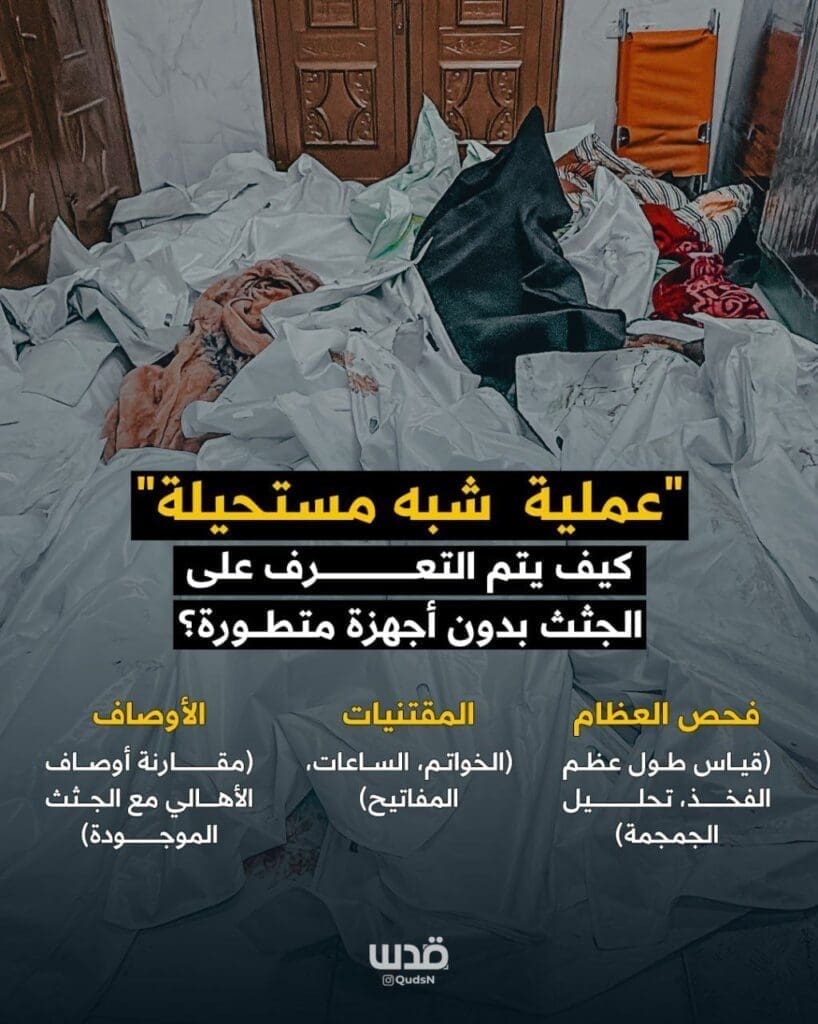 IMG 20250502 195241 222