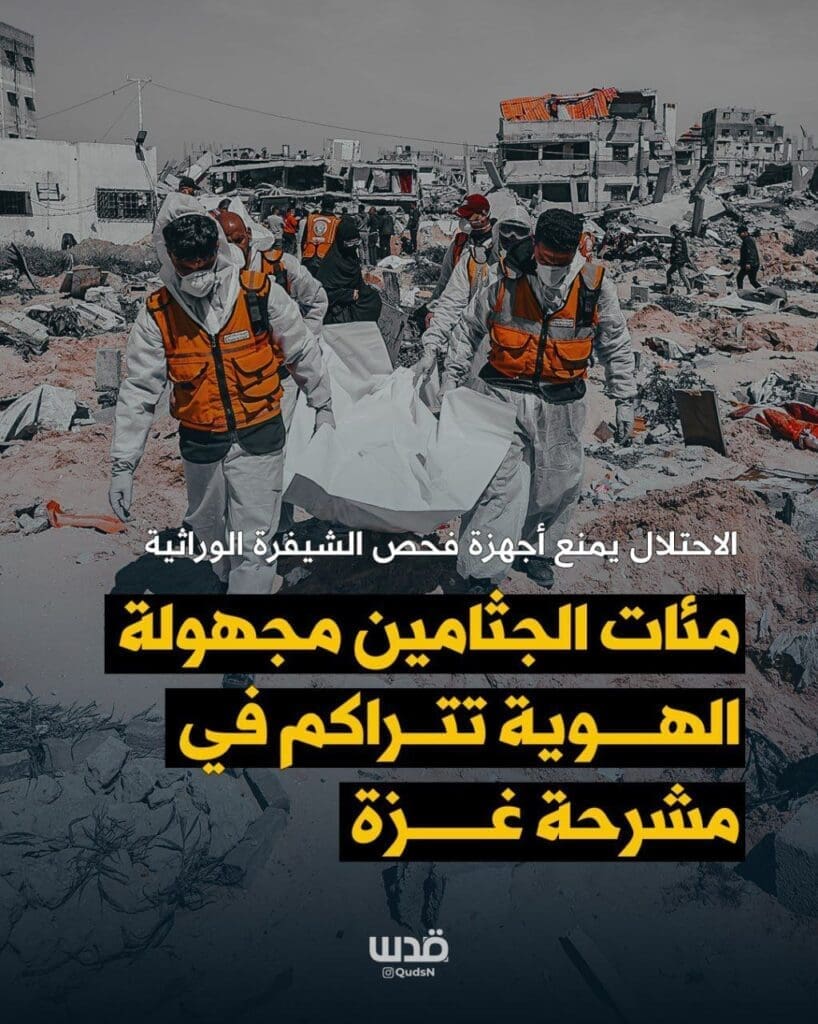 IMG 20250502 195241 310