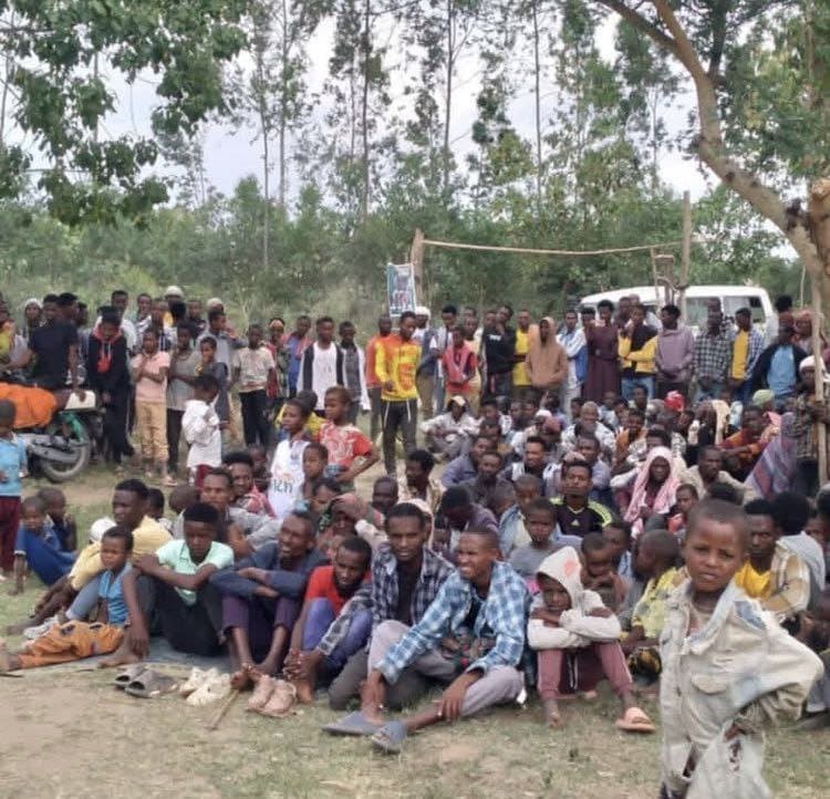 IMG 20250502 201550 973