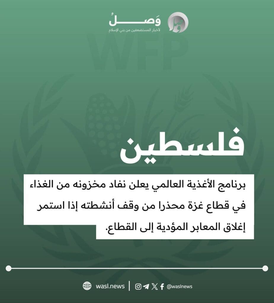 IMG 20250502 202643 881