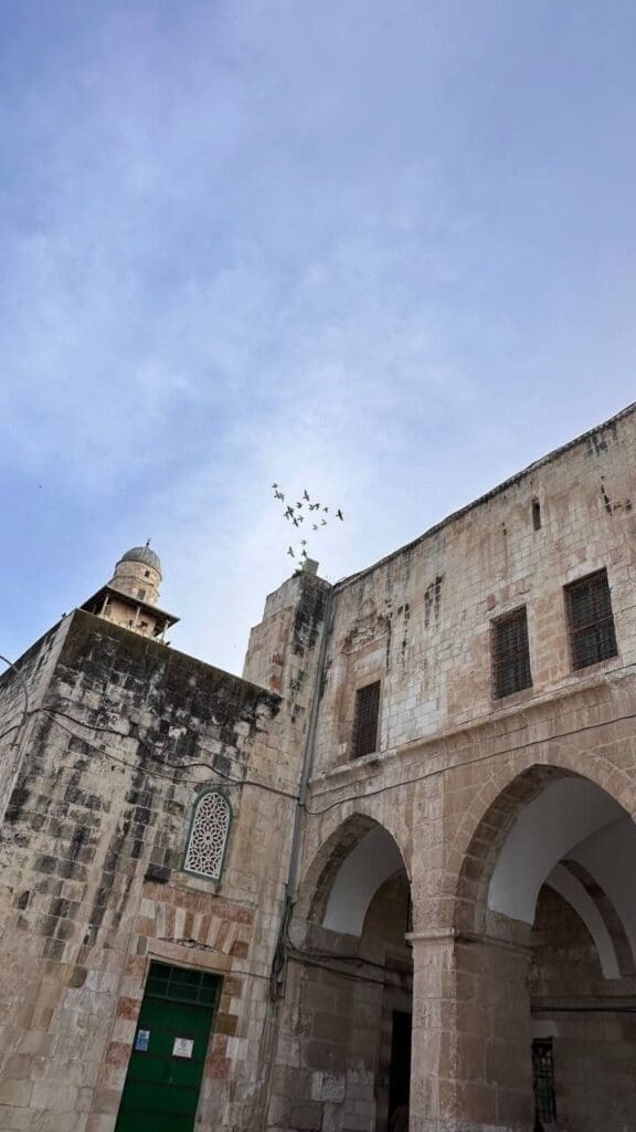 IMG 20250502 213234 533