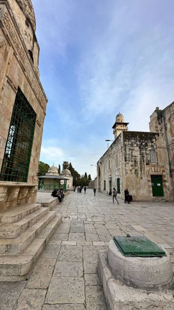 IMG 20250502 213234 974