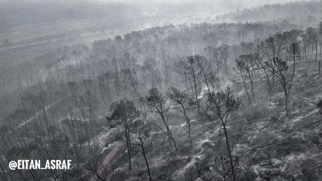 IMG 20250502 213338 139