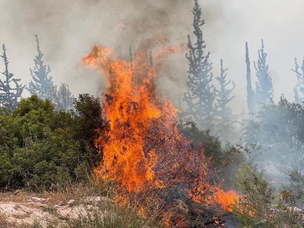 IMG 20250502 213434 557