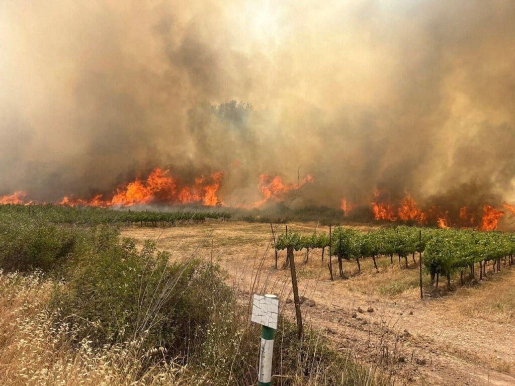 IMG 20250502 213435 204