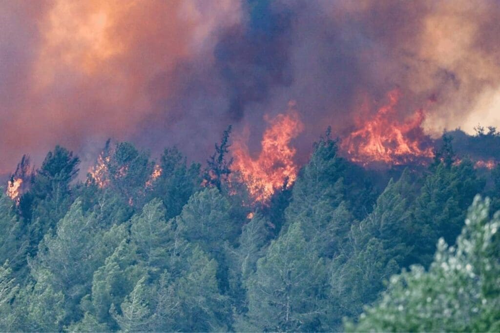 IMG 20250502 213435 236