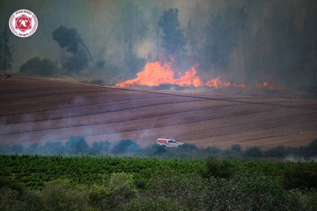 IMG 20250502 213541 319