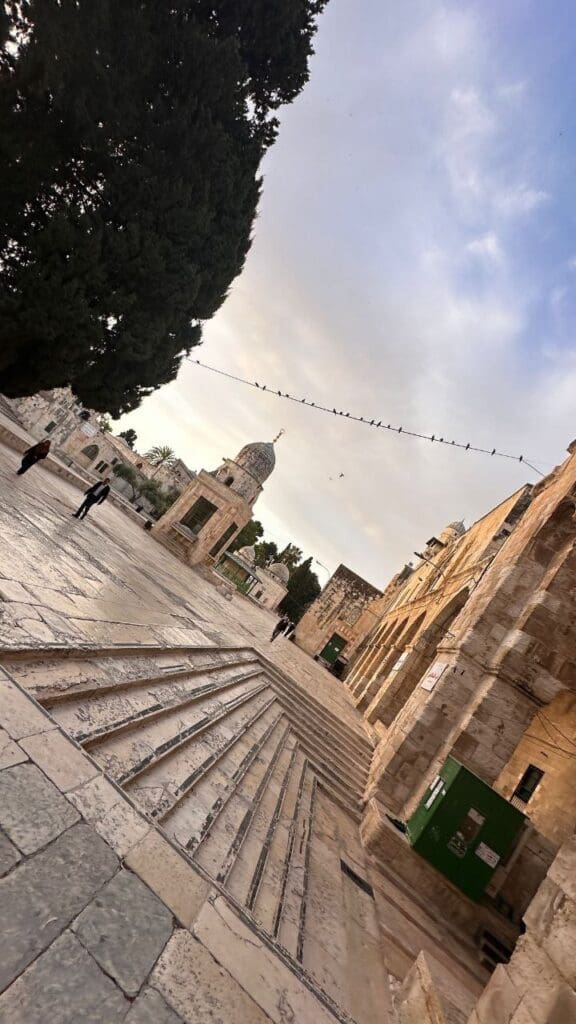 IMG 20250502 213614 685