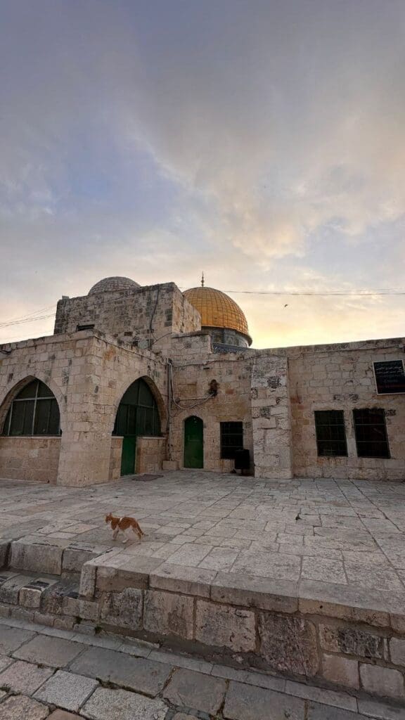 IMG 20250502 213615 169