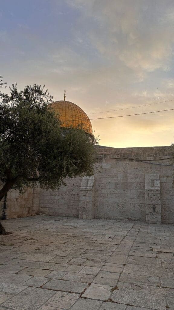 IMG 20250502 213615 381