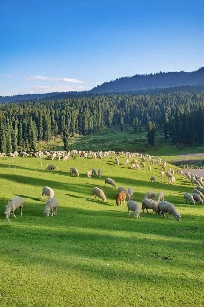 IMG 20250502 213759 408