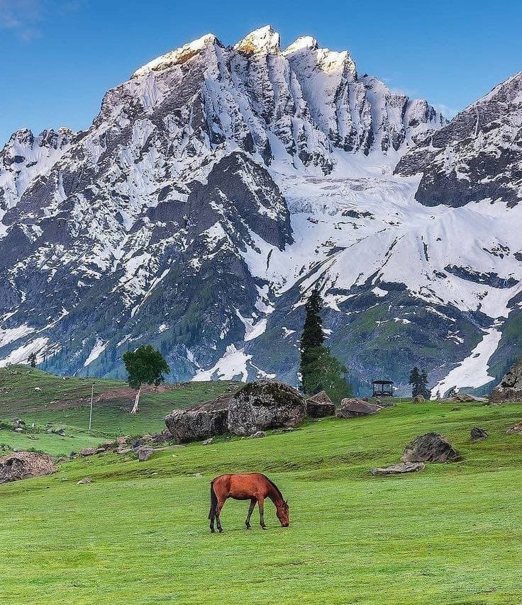 IMG 20250502 213759 845