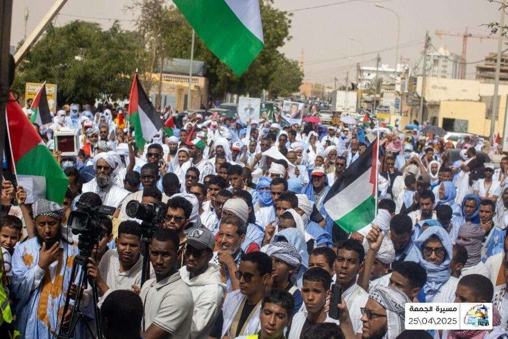 IMG 20250502 213912 665