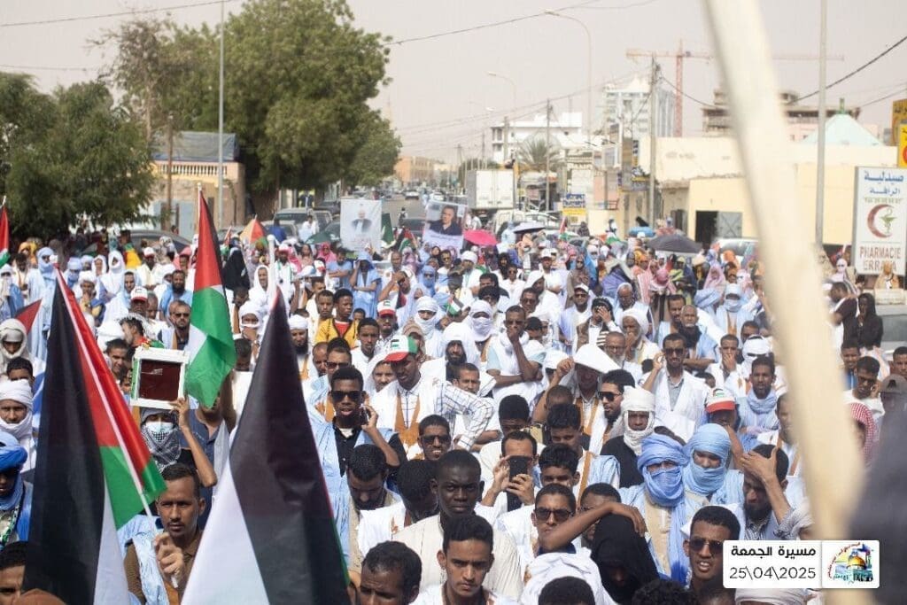 IMG 20250502 213913 314