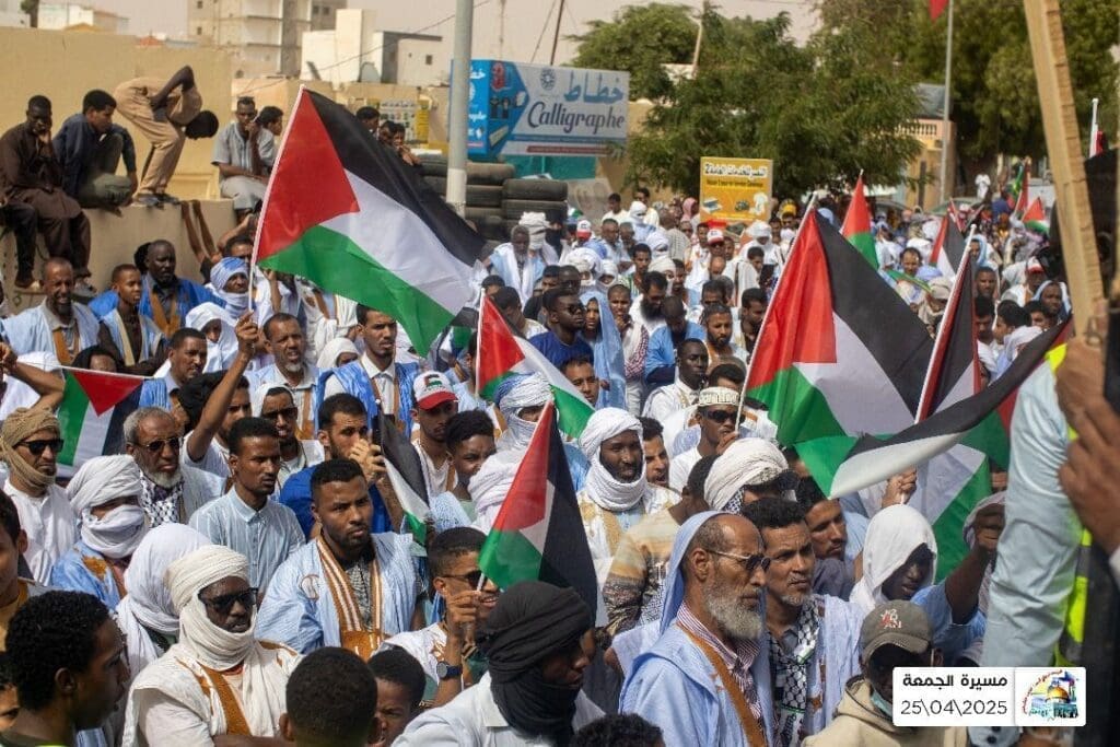 IMG 20250502 213913 397