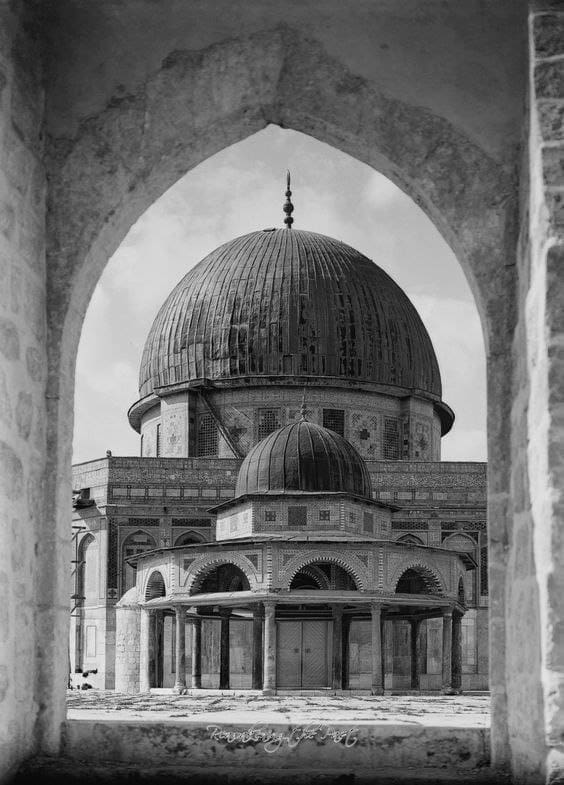 IMG 20250509 183956 550