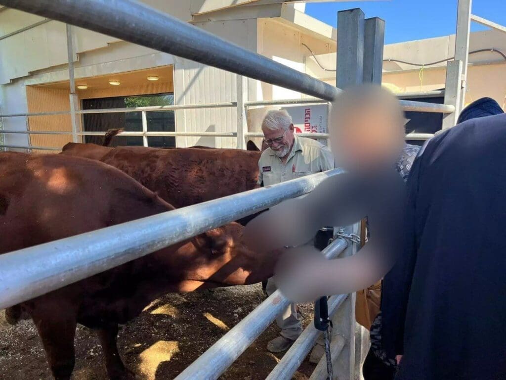 IMG 20250509 193949 950