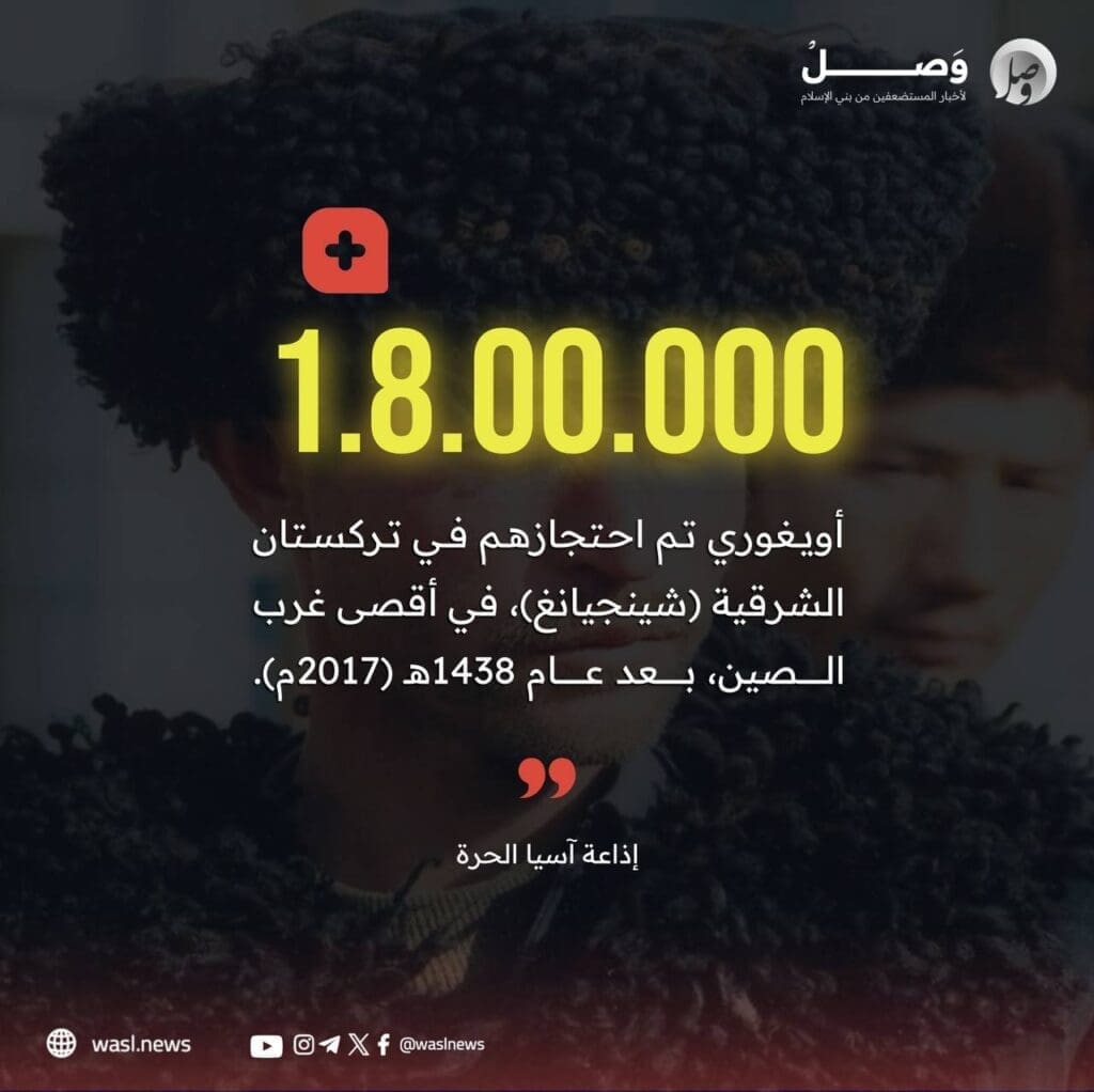 IMG 20250509 201451 729