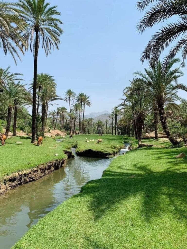 حصاد الأسبوع: أبرز الصور من العالم الإسلامي 36 IMG 20250509 213018 998