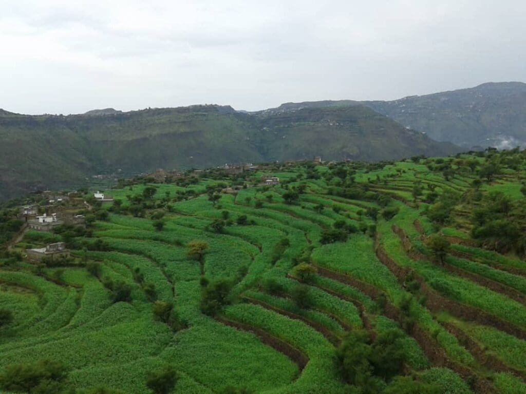 حصاد الأسبوع: أبرز الصور من العالم الإسلامي 48 IMG 20250509 213646 105