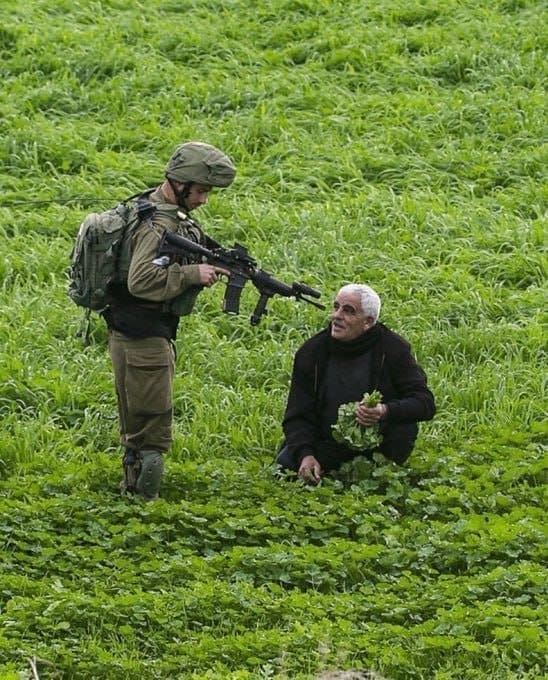 تقرير وصل الأسبوعي للعالم الإسلامي: أبرز الأحداث الأسبوع الثالث من ذي القعدة