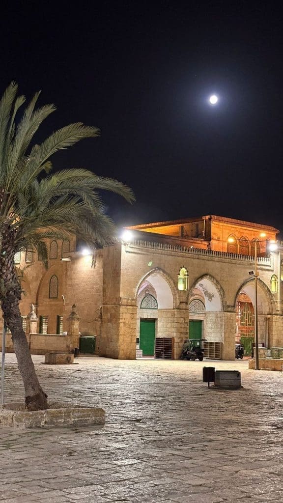 IMG 20250516 223736 978