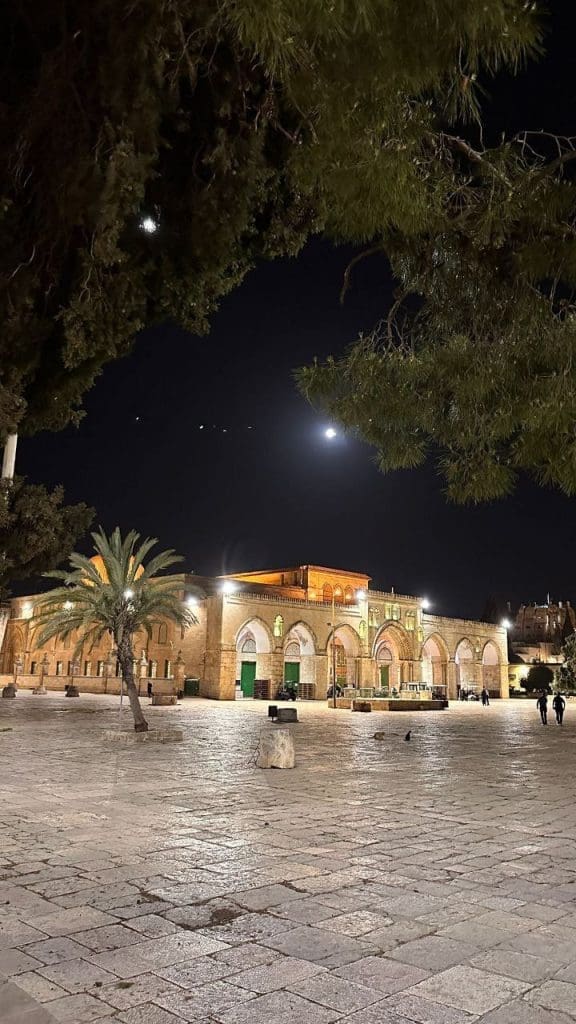 IMG 20250516 223737 111