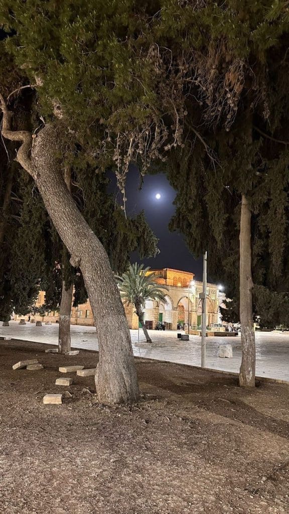 IMG 20250516 223737 156