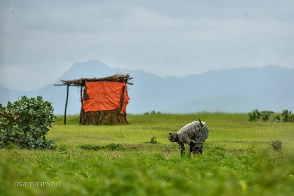 IMG 20250516 224024 852