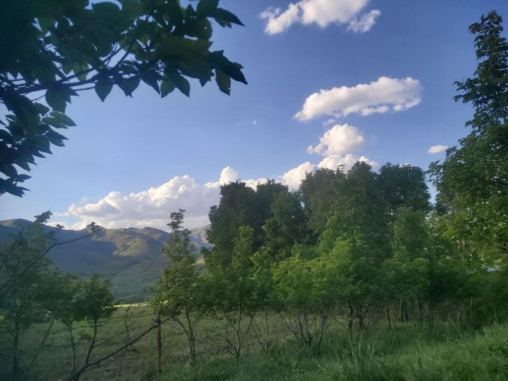 IMG 20250516 224530 389