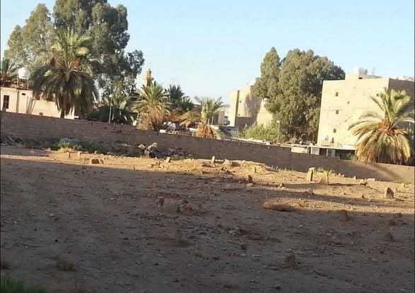 IMG 20250516 224644 100 1