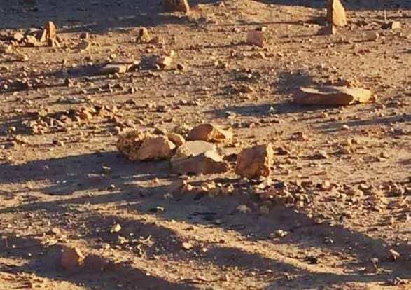 IMG 20250516 224644 378