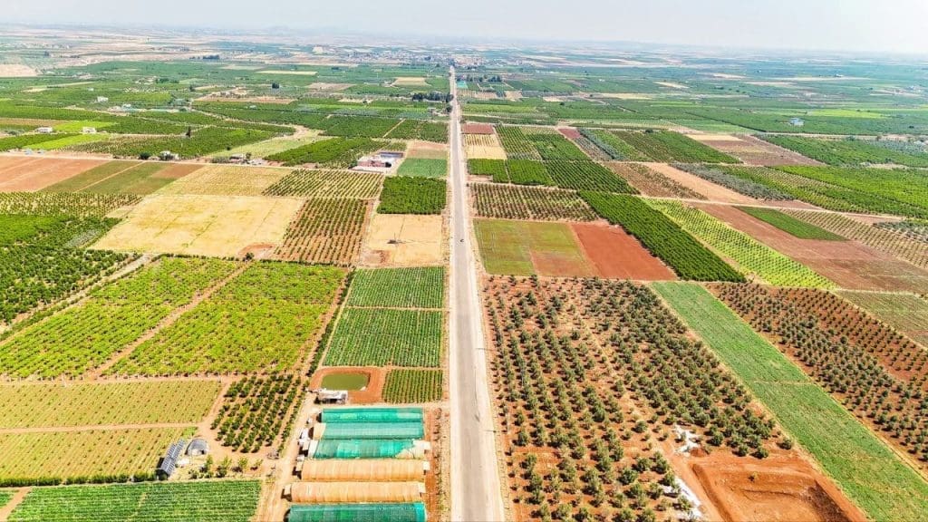 IMG 20250530 162632 461