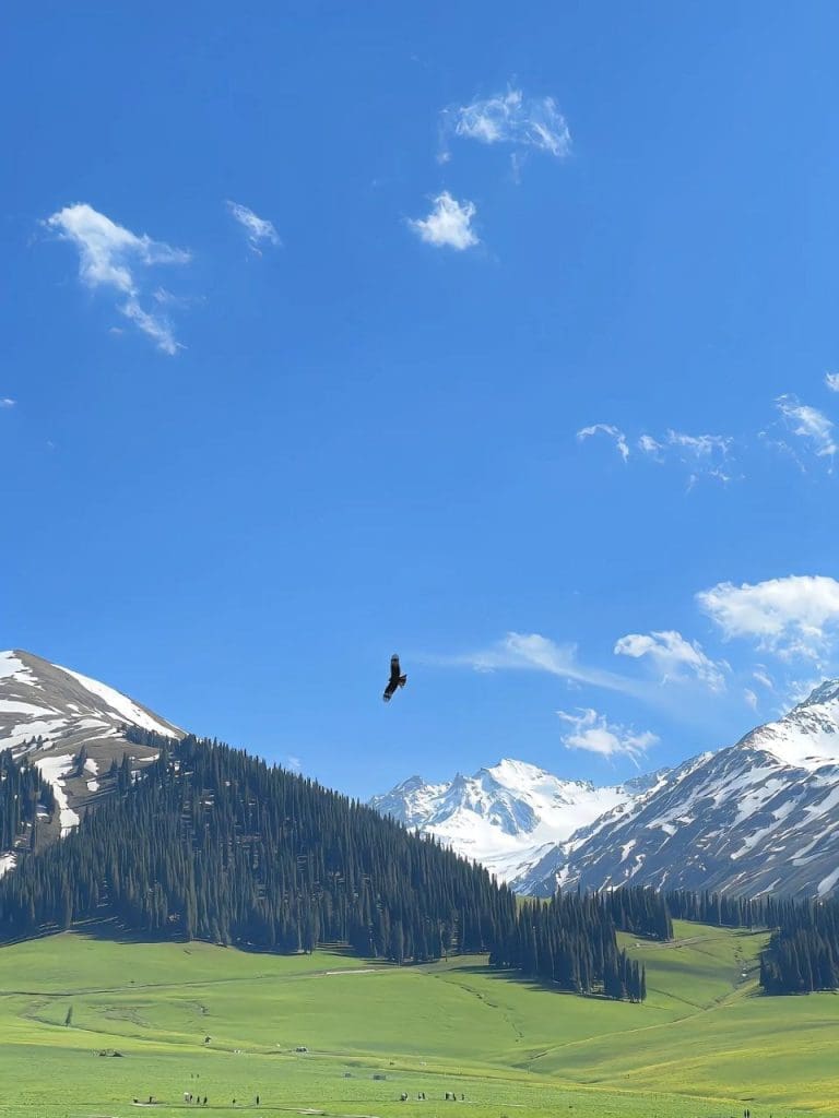 IMG 20250530 162843 264