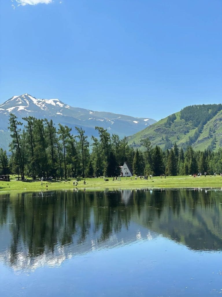 IMG 20250530 162843 332