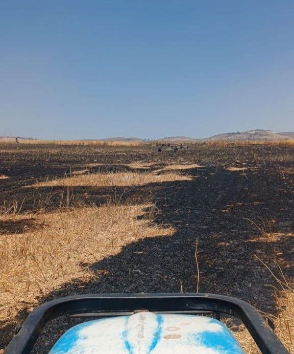 photo 2025 05 30 15 13 29