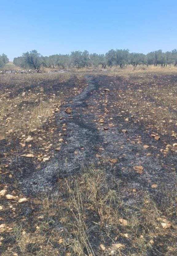 photo 2025 05 30 15 13 35