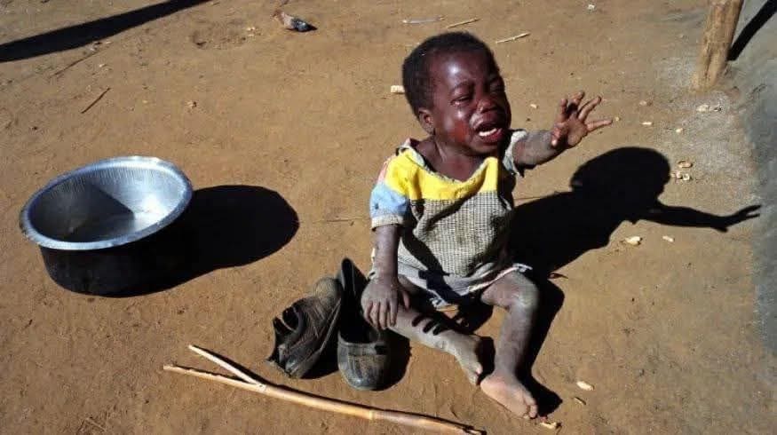 تقرير وصل الأسبوعي للعالم الإسلامي: أبرز الأحداث الأسبوع الثاني من ذي القعدة