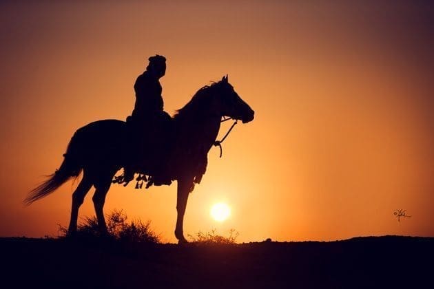 ماذا بعد سقوط إيران؟! 91 ماذا بعد سقوط إيران؟!