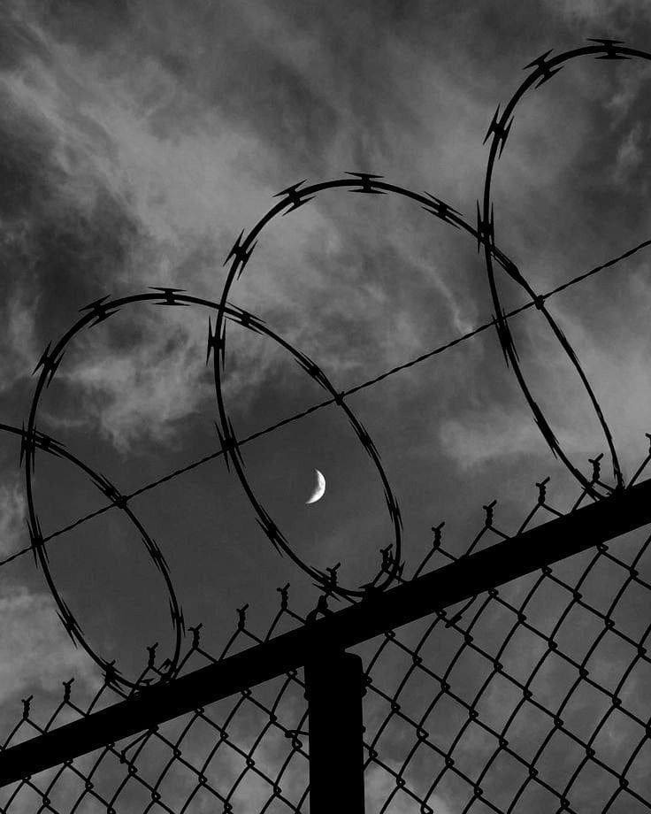 699d7f078c7c92e836423585ef05d6e5