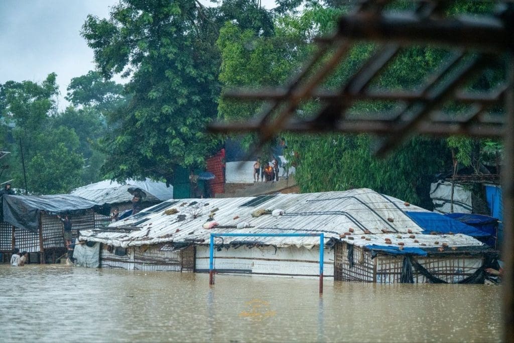 photo 2025 06 07 08 40 30 1