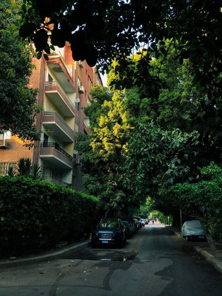 photo 2025 06 07 08 45 04