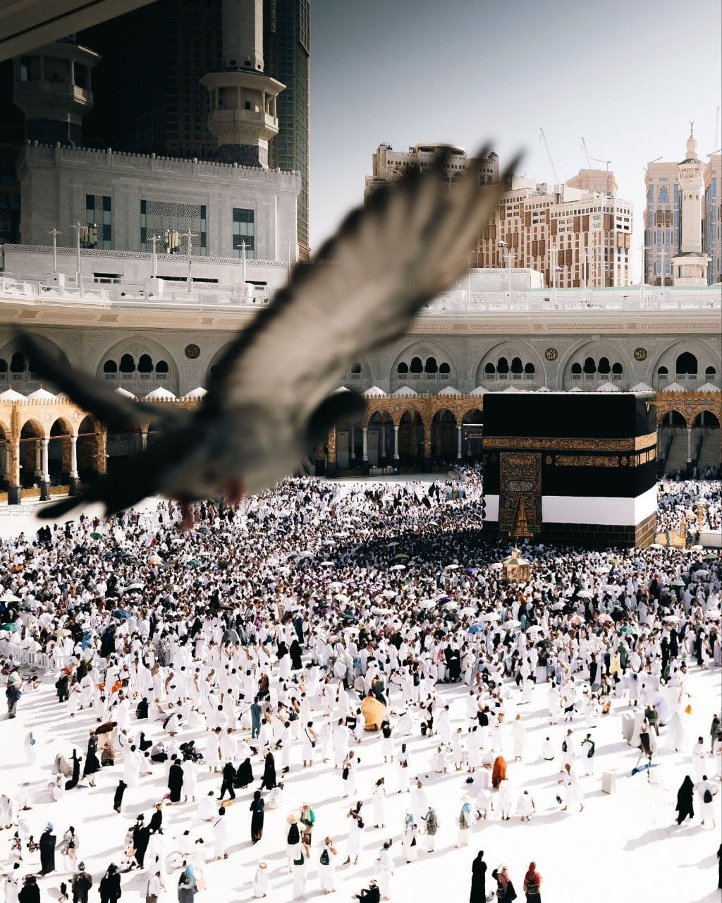 photo 2025 06 07 08 47 42