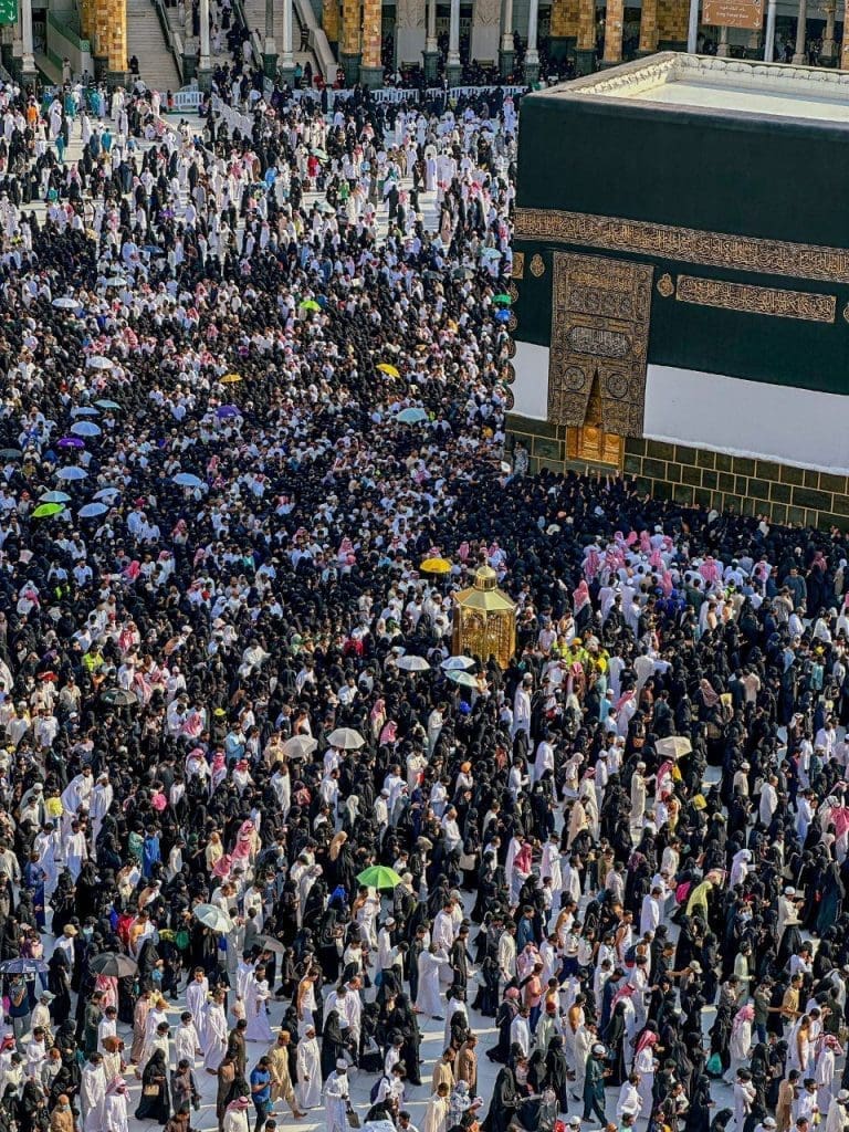 photo 2025 06 07 08 55 51 1