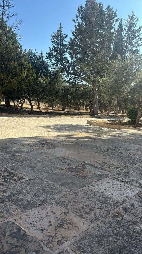 photo 2025 06 14 01 02 36