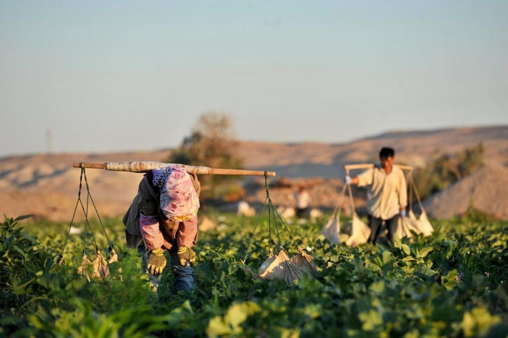 photo 2025 06 14 01 05 06